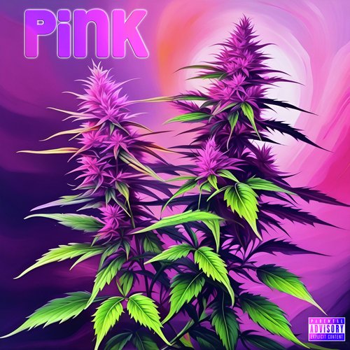 Northern Lightz cover art