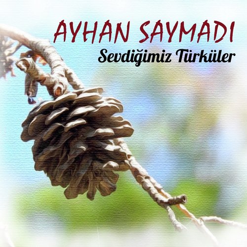 Dostum Dostum cover art