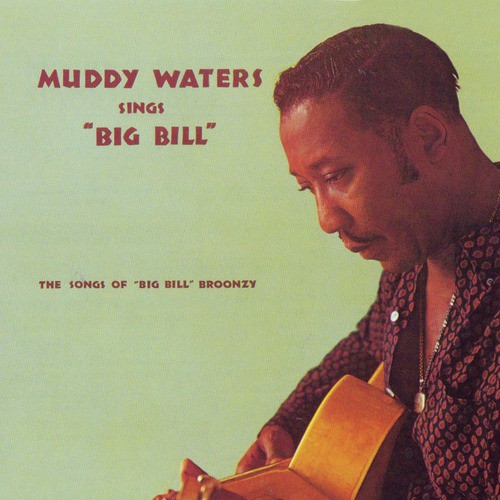 Double Trouble Lyrics - Muddy Waters - Only on JioSaavn