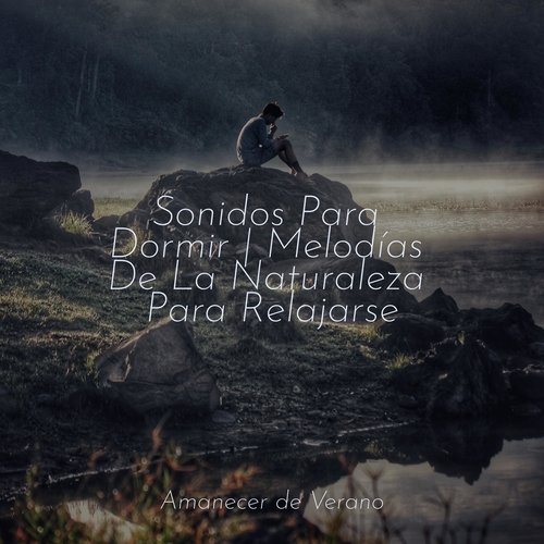Armonía de Canciones de Cuna Cromáticas cover art
