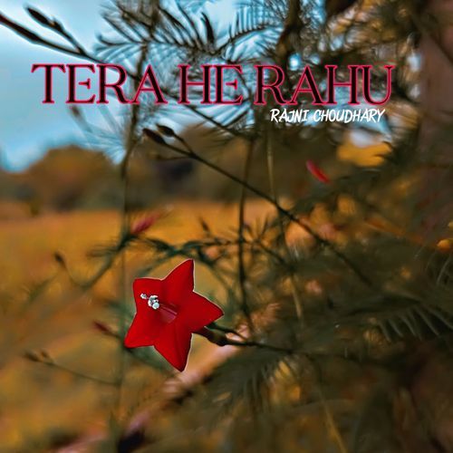 TERA HE RAHU