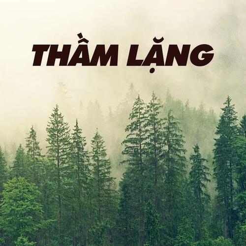 Thầm Lặng_poster_image