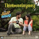 Thiramaalayaay (From "Oh Meri Laila")