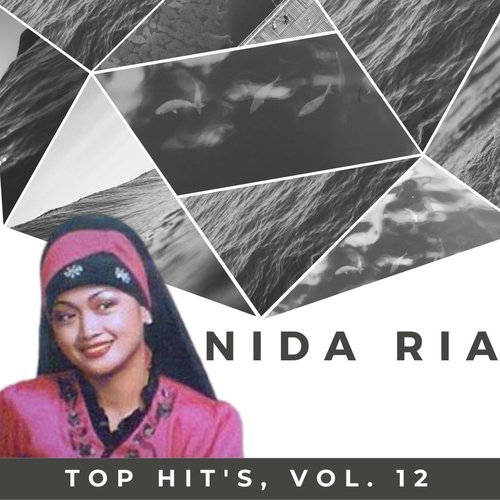 Top Hit's, Vol. 12