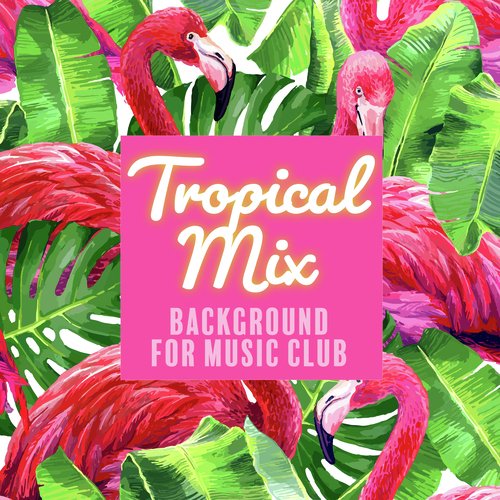 Tropical Mix (Background for Music Club, Dance Party all Night)