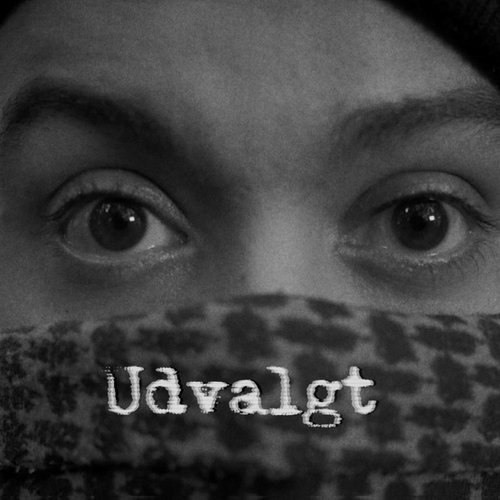 Udvalgt_poster_image