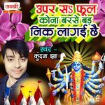 Upar Sa Phool Kona Barse Bar Neek Lagai Chai