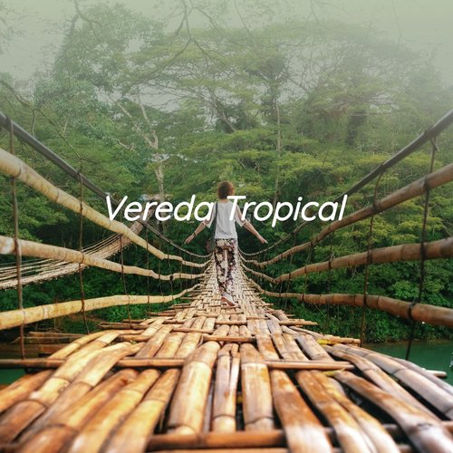 Vereda Tropical