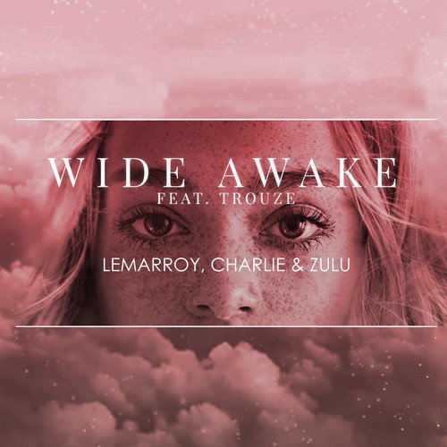 Wide Awake_poster_image