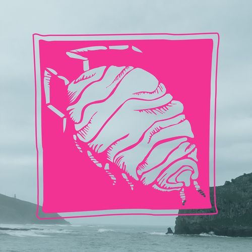 Craig cover art