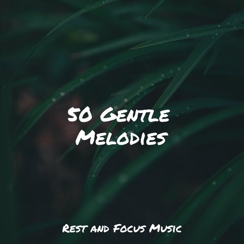 50 Gentle Melodies