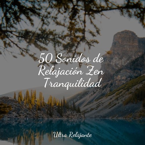 50 Sonidos de Relajación Zen Tranquilidad