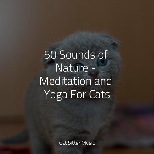 50 Sounds of Nature - Meditation and Yoga For Cats