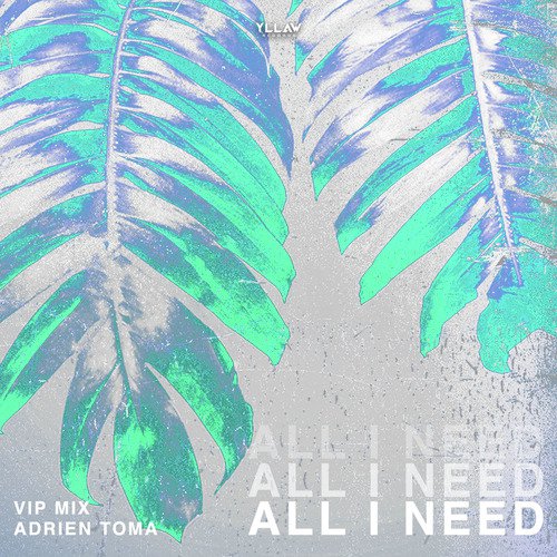 All I Need (Vip Remix)