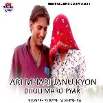 Ari Mhari Janu Kyon Bholi Maro Pyar