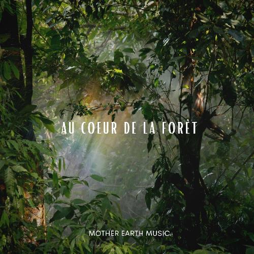 Au coeur de la forêt