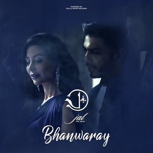 Bhanwaray_poster_image