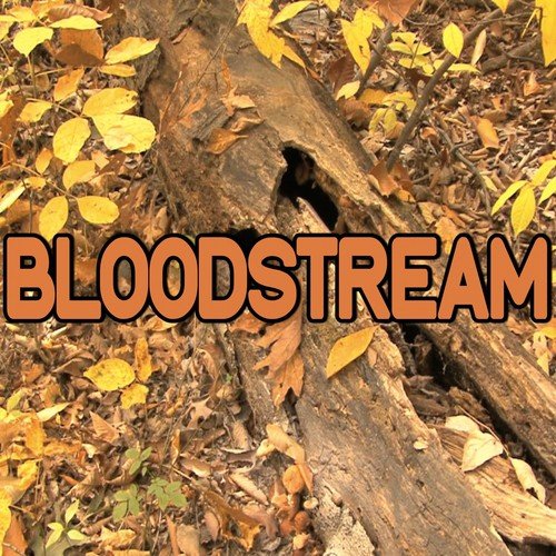 Mm Por lo tanto Idealmente Bloodstream - Tribute To Ed Sheeran And Rudimental (Instrumental Version) -  Song Download from Bloodstream - Tribute to Ed Sheeran and Rudimental @  JioSaavn