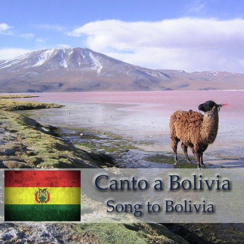 Cambia cover art