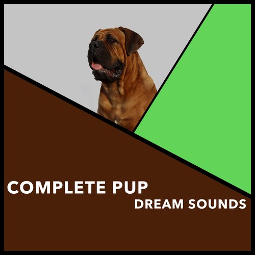 Calming Dog Time cover art