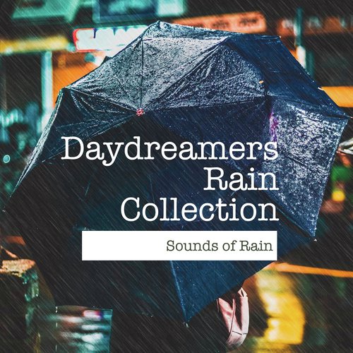 Daydreamers Rain Collection