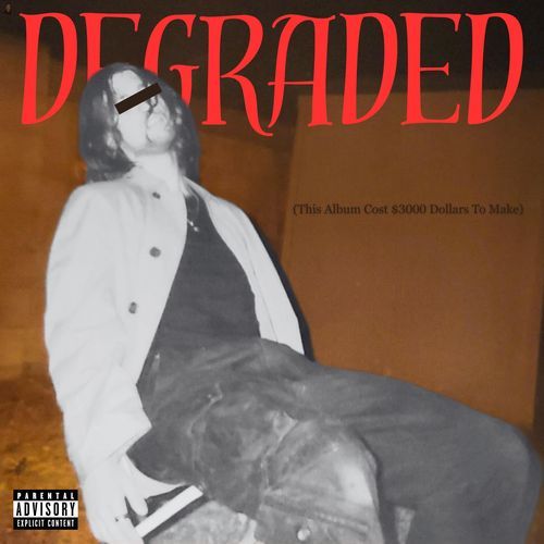 Princess Derek cover art