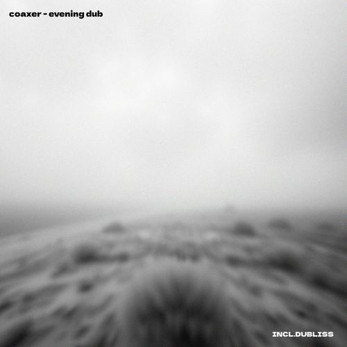 Subversion cover art