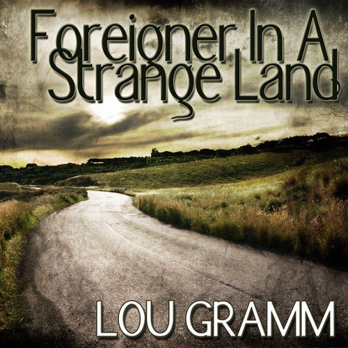Foreigner In A Strange Land