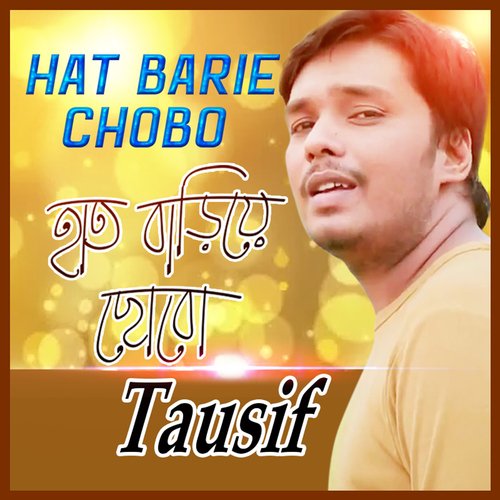 Haat Bariye Chobo