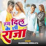 Ham Dil Ke Chhi Raja