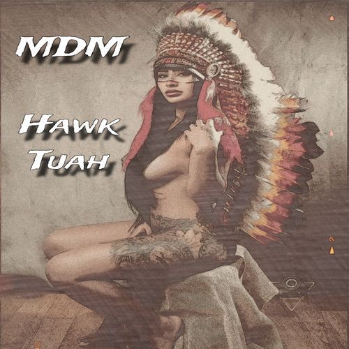 Hawk Tuah_poster_image