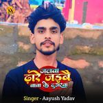 Jalwa Dhare Jaibai Baba Ke Duarwa