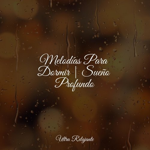 Ligereza Y Suavidad cover art