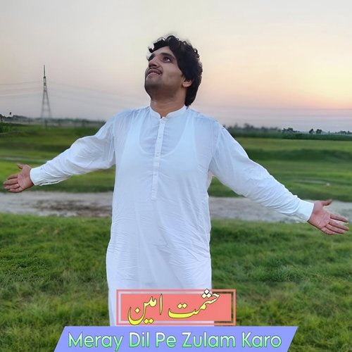Meray Dil Pe Zulam Karo