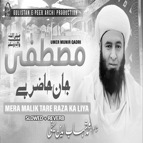 Mere Malik Tare Raza Ka Liya (Lofi-Mix)