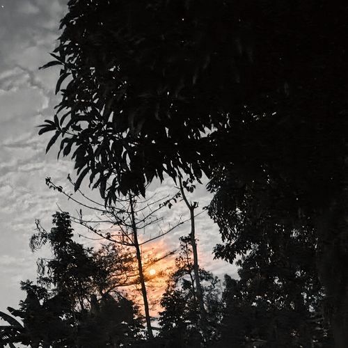PARTY NEXT DOOR cover art