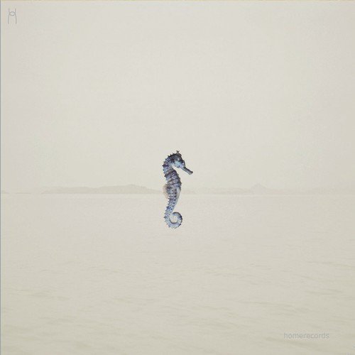 Mystic Wood cover art