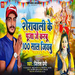 Sherawali Ke Pooja Je Karbu 100 Saal Jiyabu