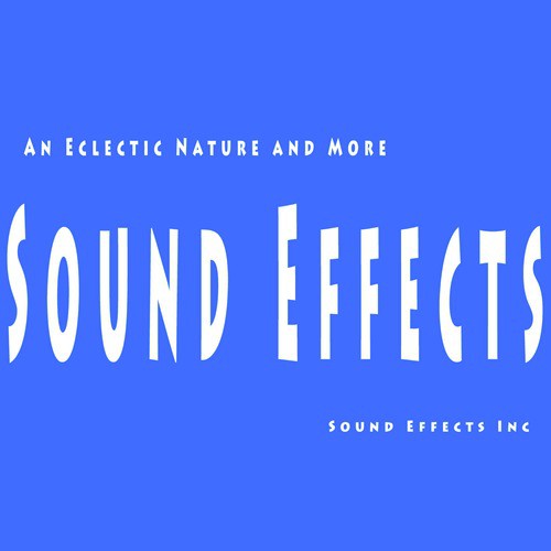 Sound Effects: An Eclectic Nature and More
