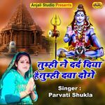 Tumhi Ne Dard Diya Hai Tumhi Dava Doge