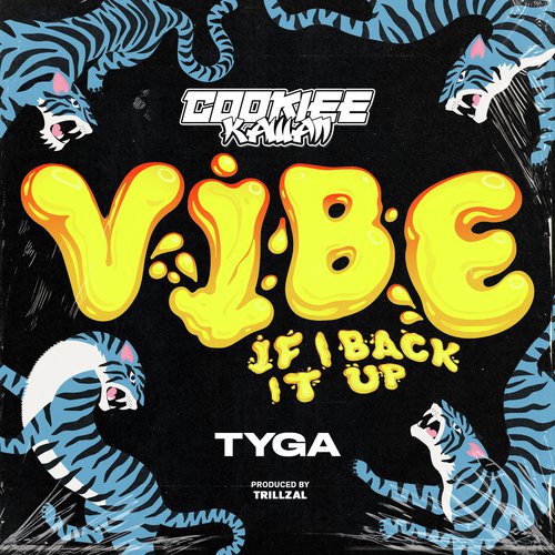 Vibe (If I Back It Up)_poster_image