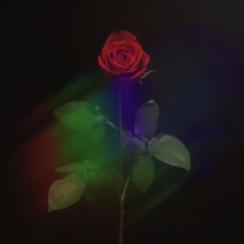 Mechanical Bull Lyrics Zannie Only on JioSaavn