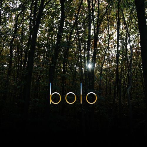 bolo