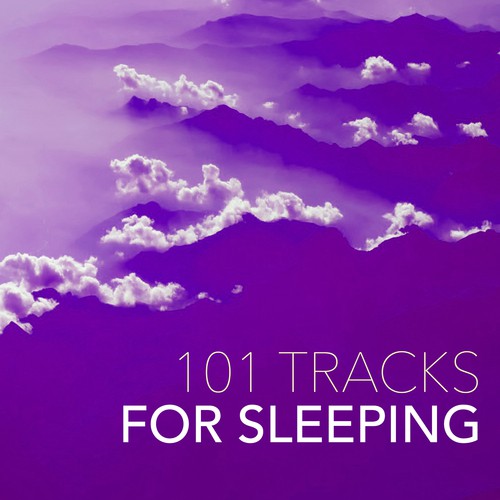 Baby Sleep Through the Night cover art