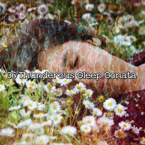 36 Thunderous Sleep Sonata_poster_image