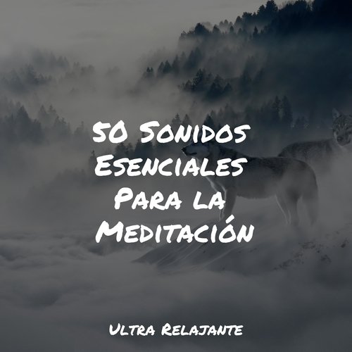 Cascada De La Música cover art