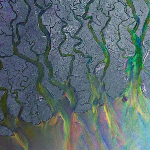 Taro Lyrics - Alt-J - Only On JioSaavn