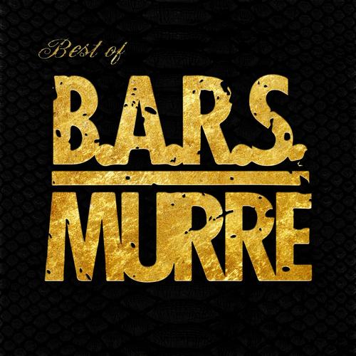 B.A.R.S. Murre