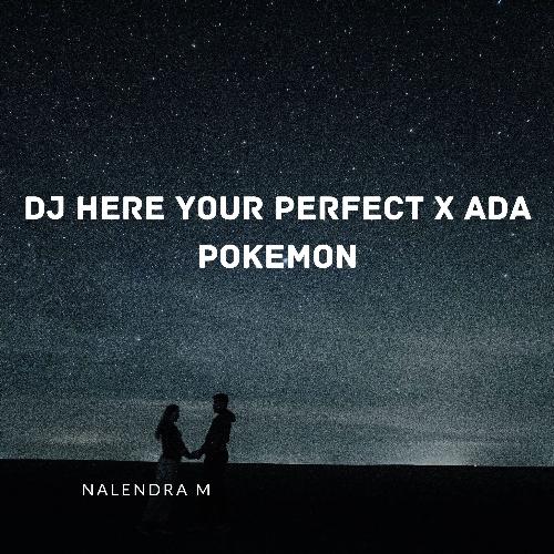 DJ Here Your Perfect X Ada Pokemon cover art