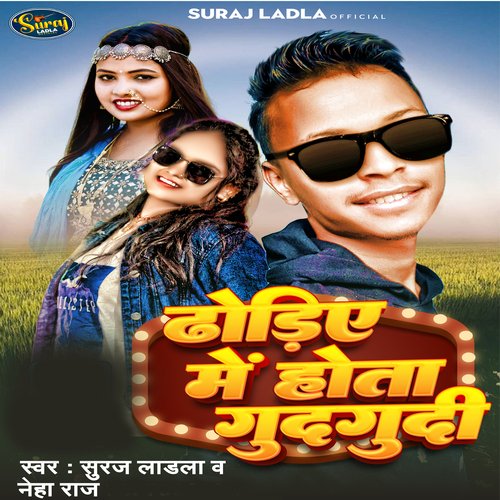 Dhodiye Me Hota Gudgudi
